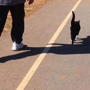 Meet your Posher, Suzanne